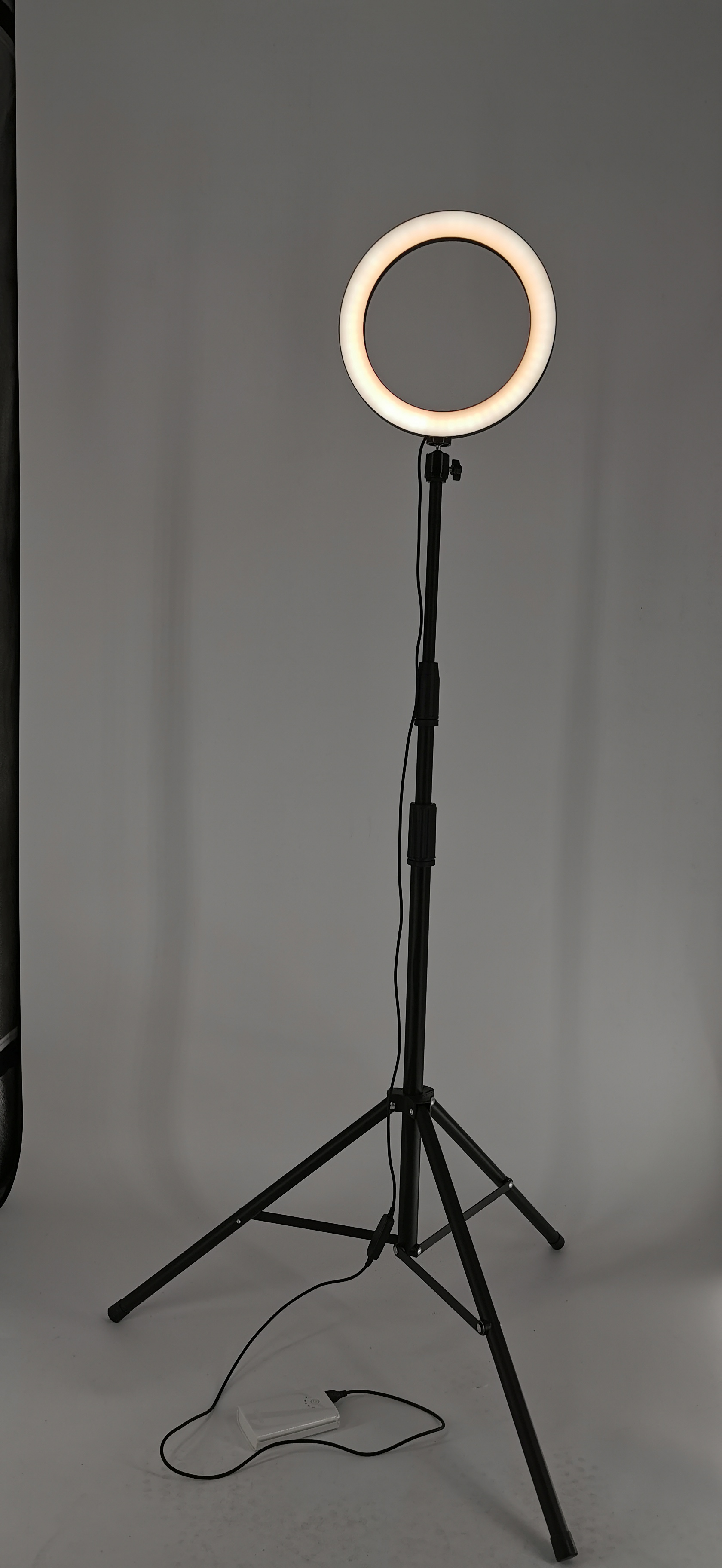 Livestream stand tiktok stand con la luz del anillo LED de 26 cm